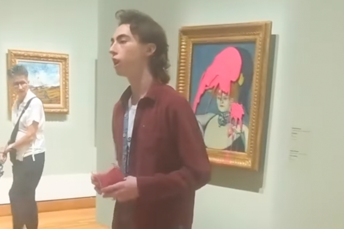 Protester captured on video spraying pink paint at Picasso artwork