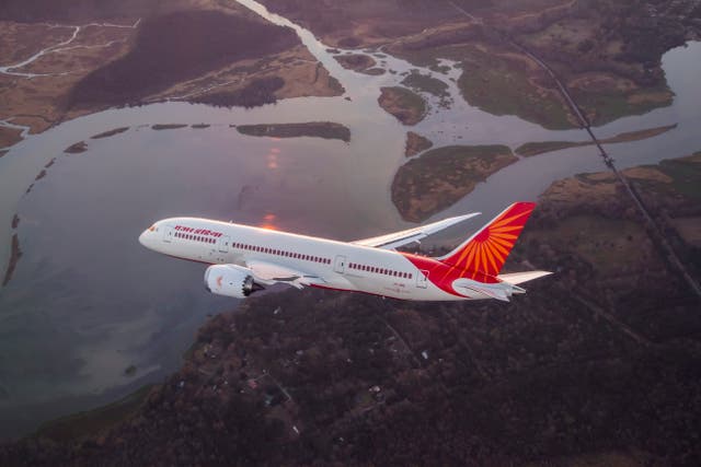 <p>Extra checks: Air India Boeing 787-8 Dreamliner, the type involved in the crash in Ahmedabad</p>