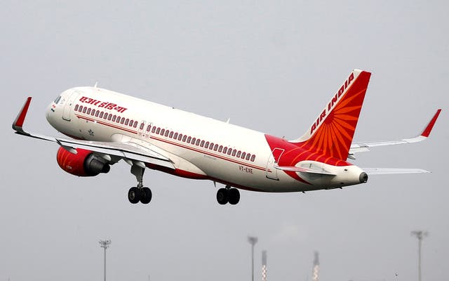 <p>File. Air India</p>