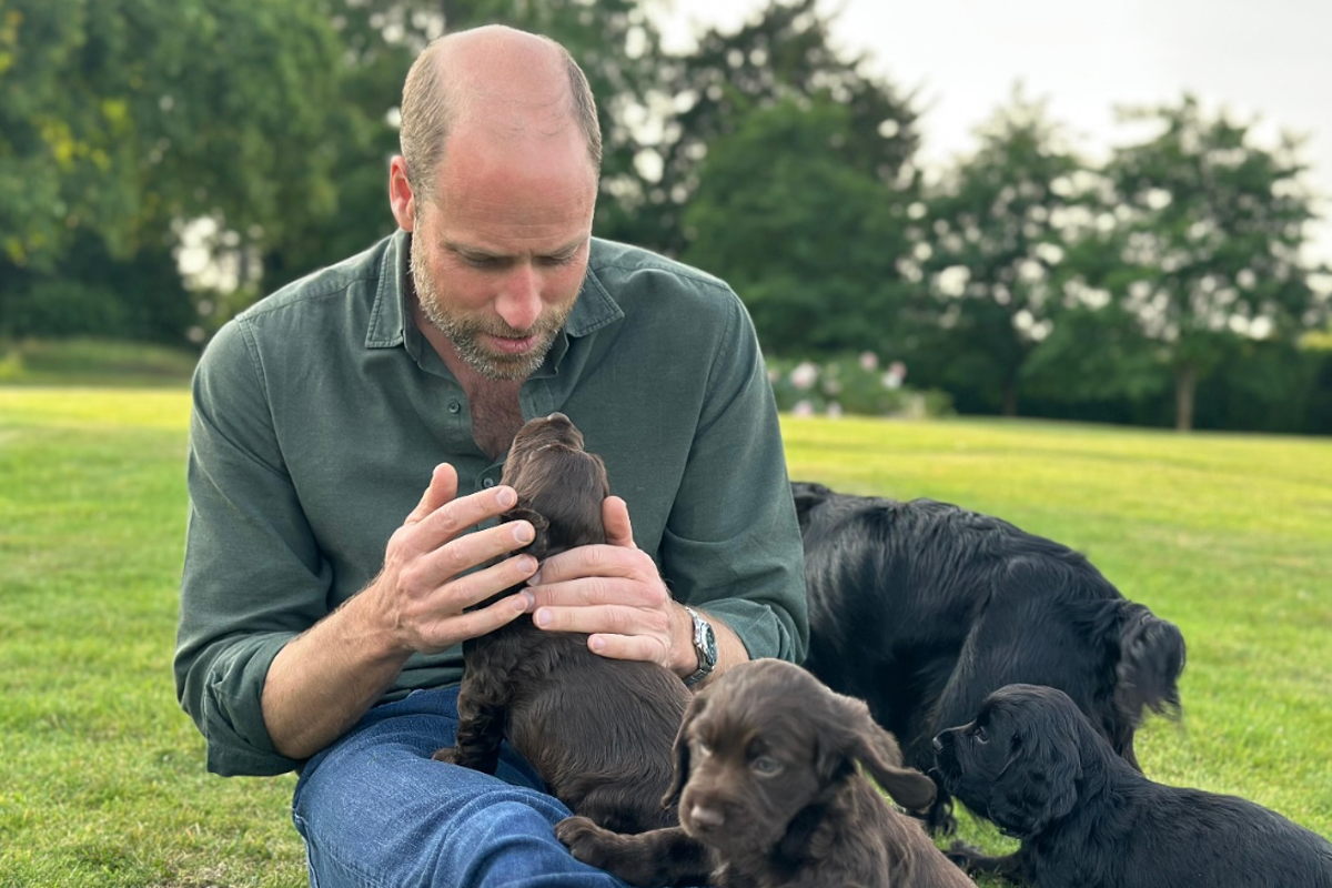 Kate Middleton celebrates Prince William’s birthday with new dog photos Kate Middleton celebrates Prince William’s birthday with new dog photos