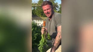 Sir David Beckham has Victoria in stitches over his wonky carrot