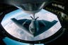 US has bombed three nuclear sites in Iran, Trump announces