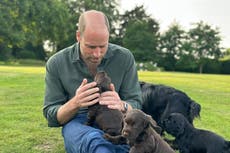 Peta claims Prince William and Kate are ‘staggeringly out of touch’ after pet dog has puppies