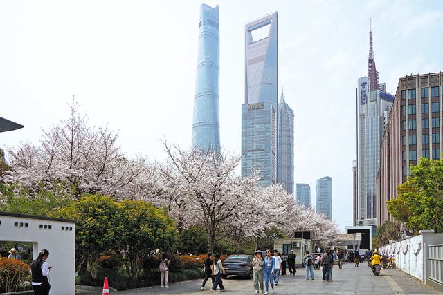 <p>A view of the financial centre of Shanghai’s Pudong New Area. </p>
