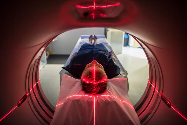 <p>You'll be seeing more of these trends in 2025</p>