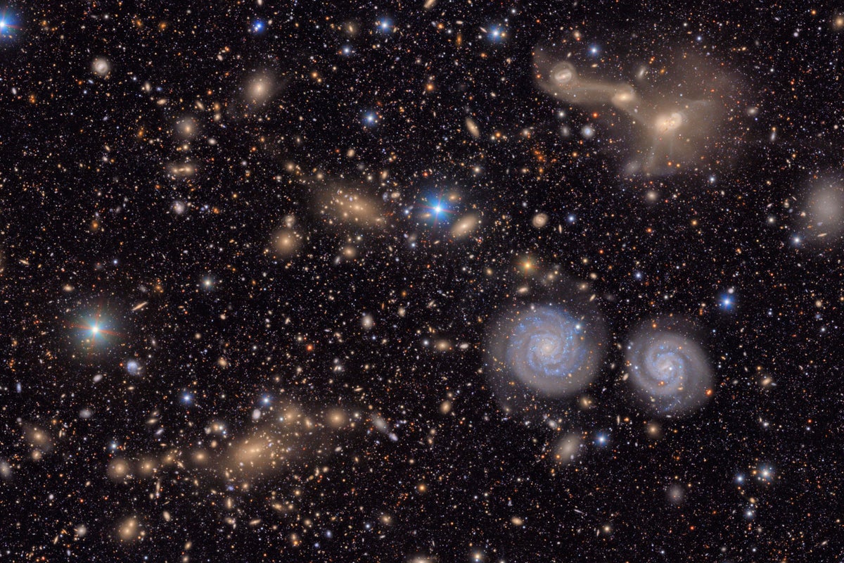 The largest digital camera ever built has released its first glamour shots of the universe