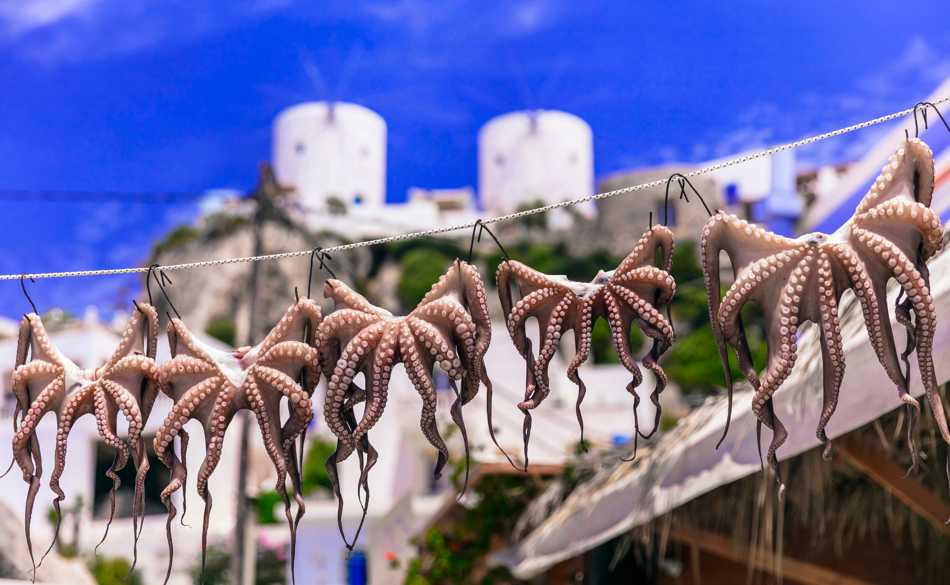 Sun-dried octopus is served grilled at many of Leros' tavernas