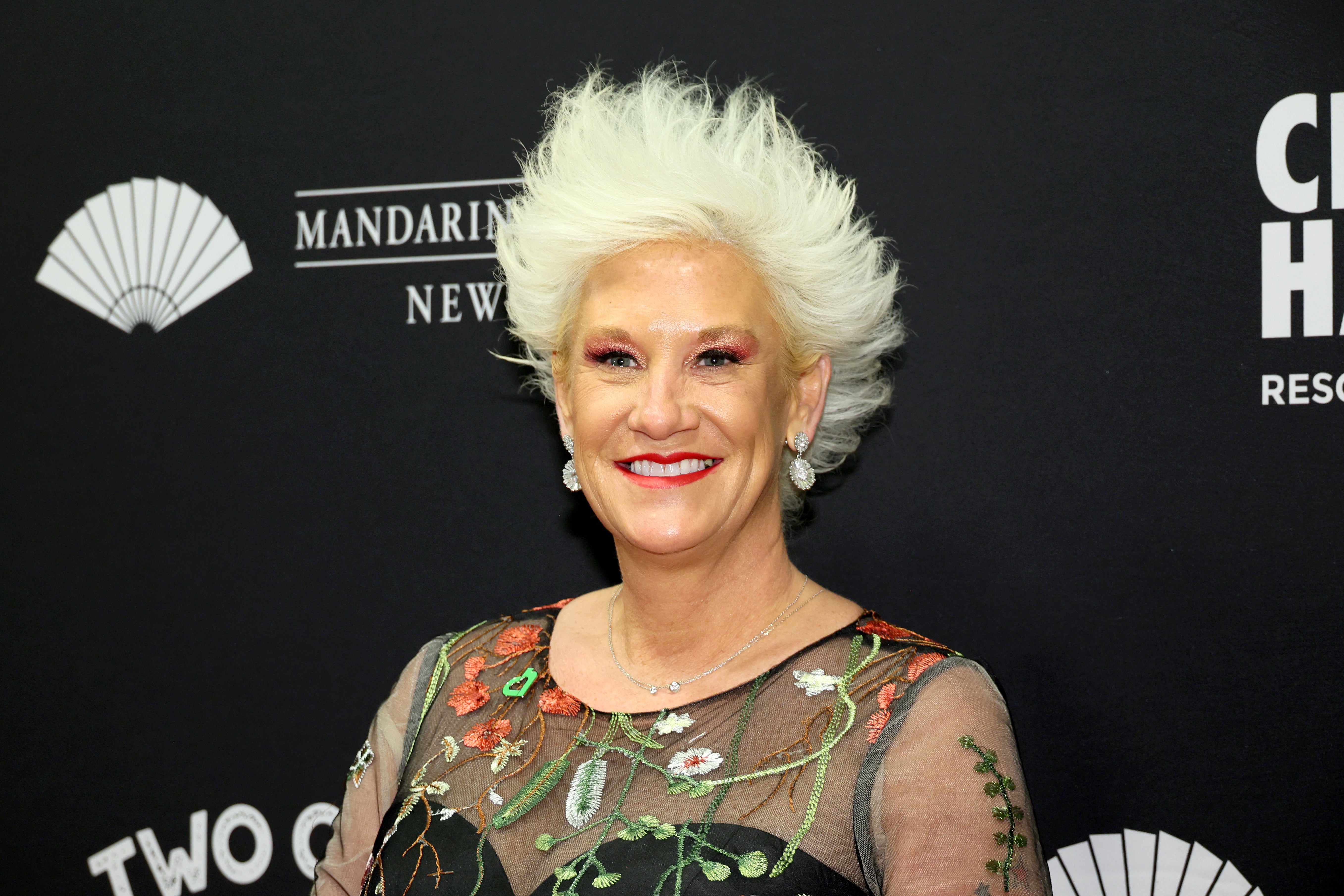 <p>Anne Burrell attends the City Harvest 40th Anniversary Gala at Cipriani 42nd Street</p>