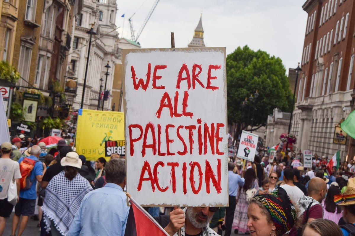 Who are Palestine Action and why is the UK government banning them?
