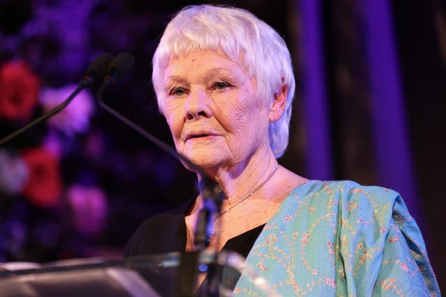 <p>Dame Judi Dench is backing a new campaign for earlier diagnosis of dementia on the NHS (Chris Jackson/PA)</p>