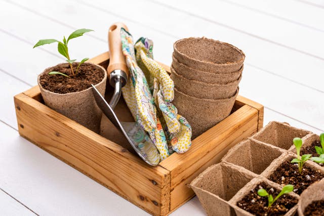 Make sustainable swaps when it comes to your gardening tools (Alamy/PA)