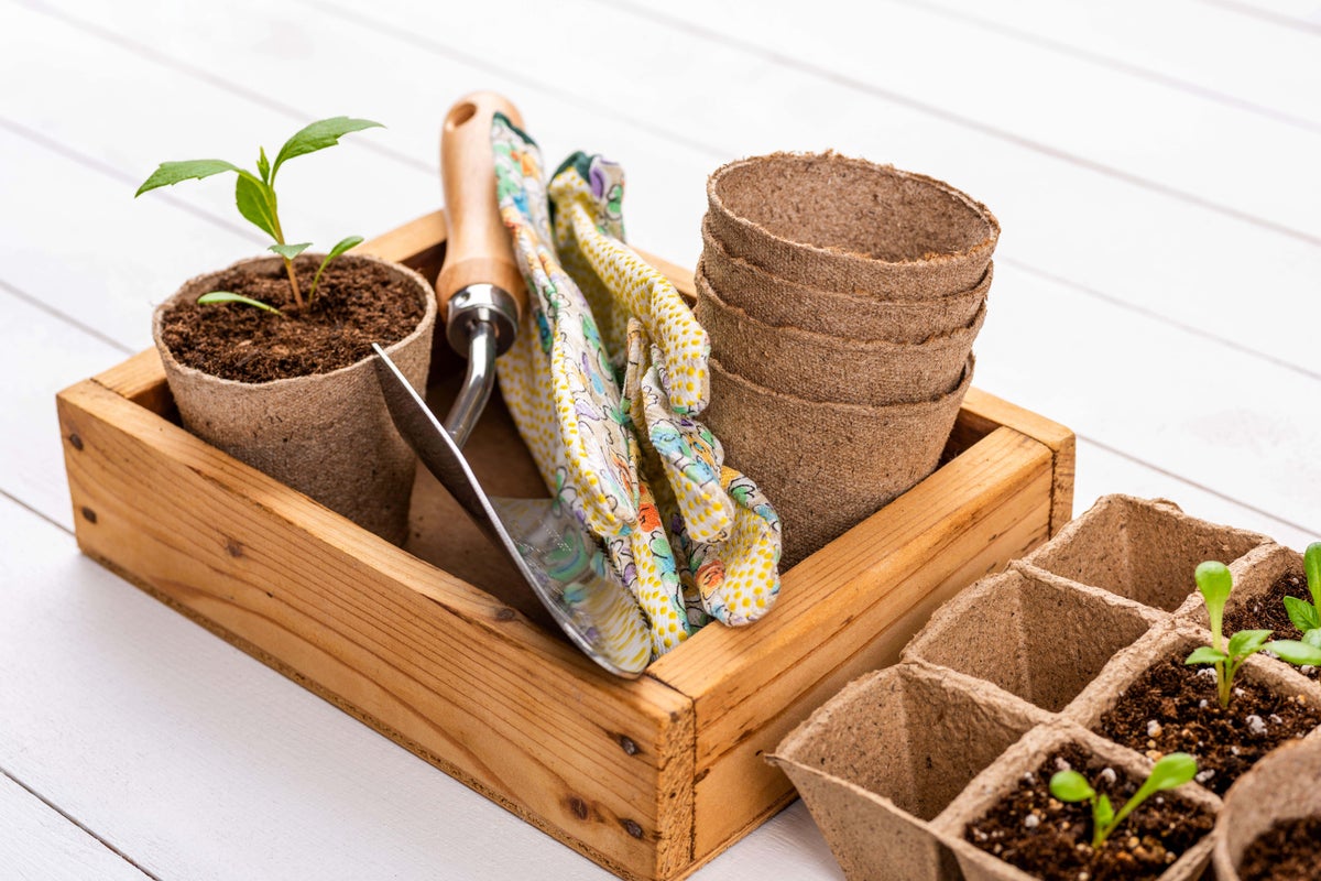 Plastic Free July: 5 easy swaps to reduce plastic in the garden