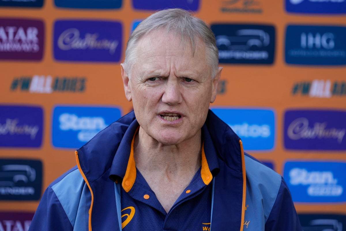 Joe Schmidt rejects Lions’ demands to release Australia stars for tour games
