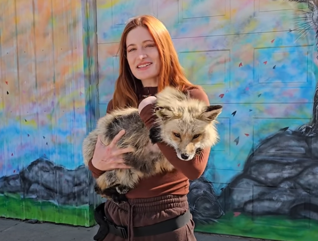 <p> Mikayla Raines fundó la organización de rescate Save a Fox a los 20 años</p>