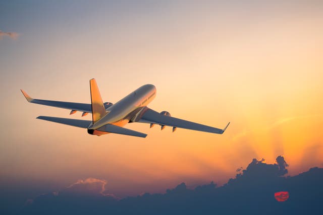 <p>On descent or ascent, aircraft encountering microbursts can experience sudden, unexpected losses or gains in altitude.</p>