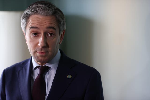 Tanaiste Simon Harris speaking to the media ahead of the British-Irish Council (BIC) summit at the Slieve Donard resort in Co Down (Liam McBurney/PA)