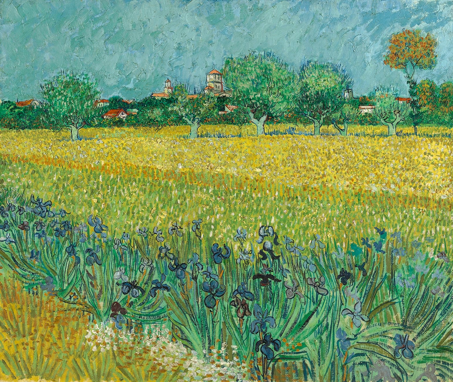 ‘Field with Irises Near Arles’ (1888) by Vincent Van Gogh