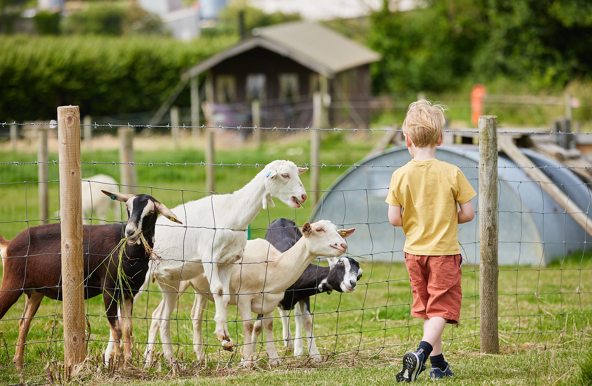 Kids will love getting close to farm inhabitants at rural stays like Feather Down Farms
