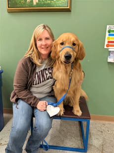 Killed Minnesota lawmaker Melissa Hortman’s beloved dog, Gilbert, lays in state with her and her spouse