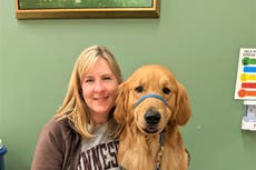 Killed Minnesota lawmaker Melissa Hortman’s beloved dog, Gilbert, lays in state with her and her spouse