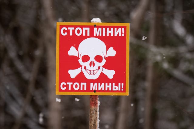 Russia has used landmines in its invasion of Ukraine (PA/Aaron Chown)
