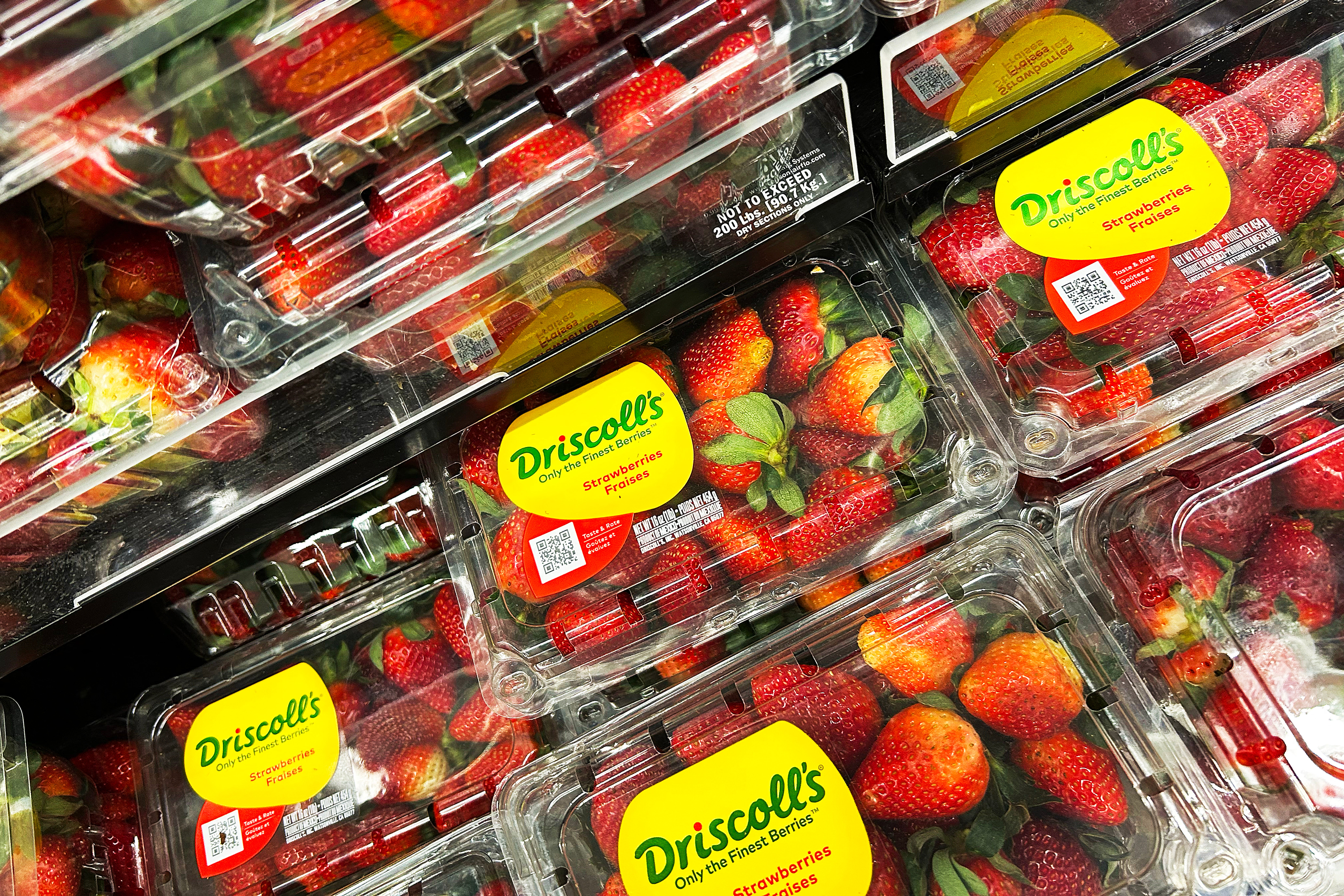 Berries are widely recognized as superfoods. They fortify heart health