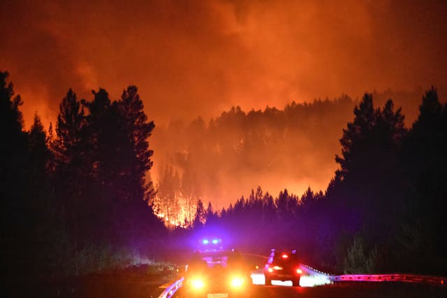 <p>A forest fire burns near Atamanovka, Russia, on 23 June 2025</p>