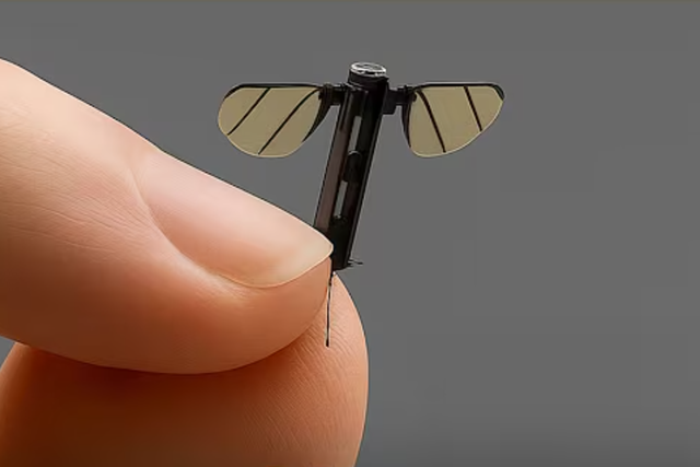 <p>A mosquito-sized UAV has been developed for covert military operations</p>