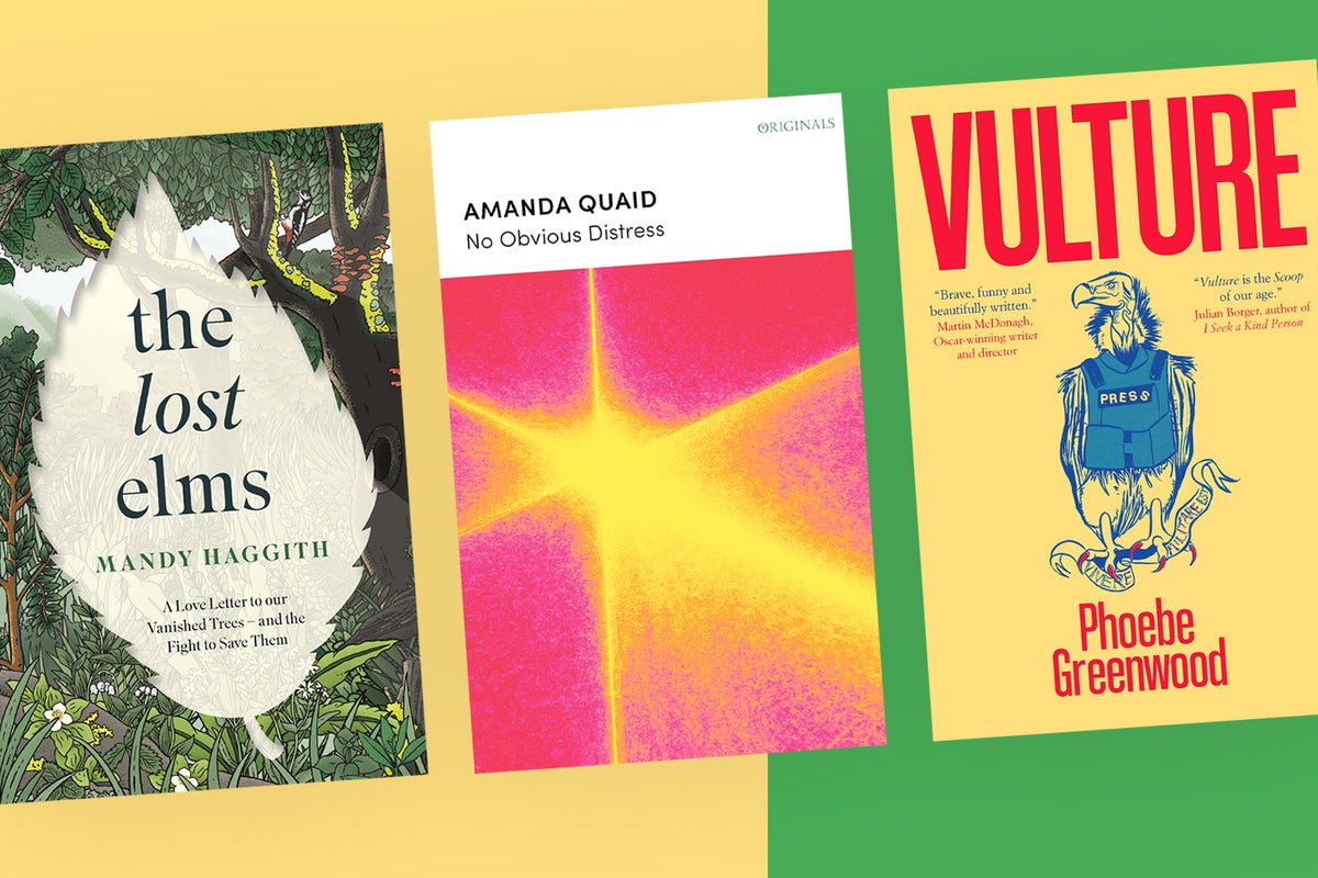 Books of the Month: What to read this July, from a dark satire on war journalism to a memoir told in verse