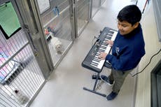The 12-year-old boy who set up a charity for musicians to play songs to animals stuck in shelters