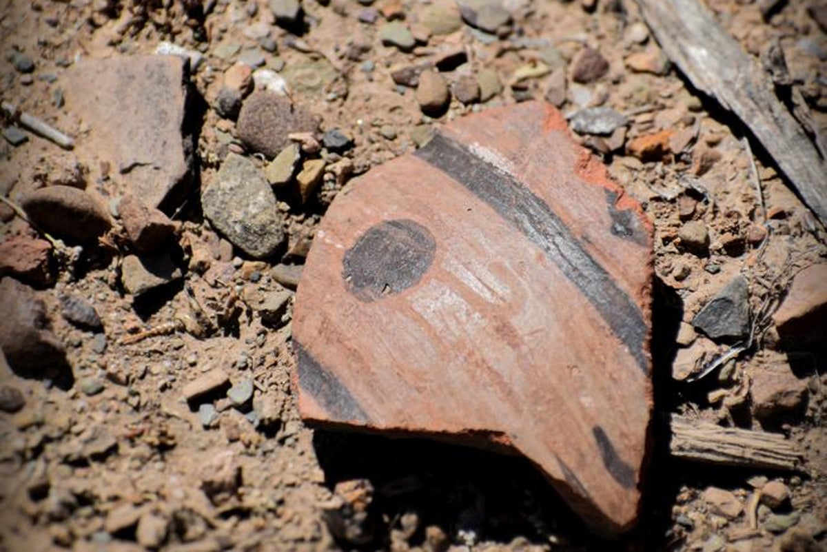 Newly discovered South American ruins reveal secrets of mysterious community