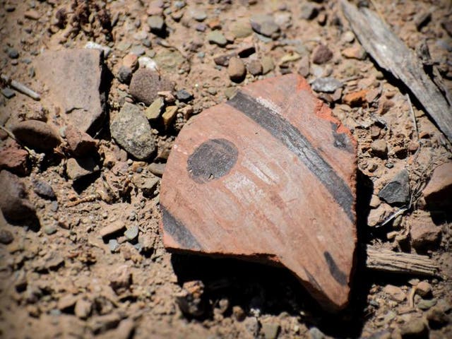 <p>The surface of the temple contained numerous fragments of keru cups. The cups were used for drinking chicha, a traditional maize beer, during agricultural feasts and celebrations and point to the temple's function as a central hub for trade. </p>