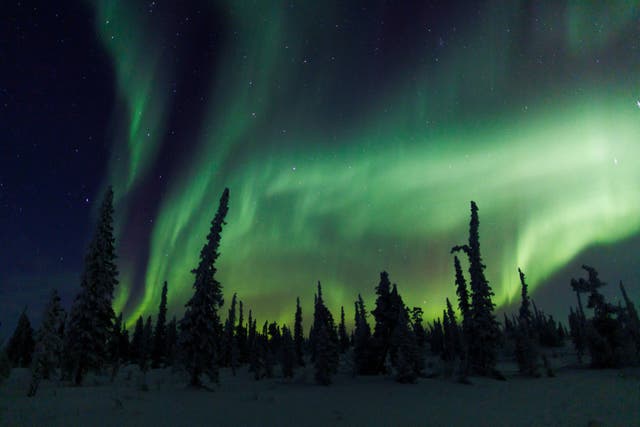 <p>Skywatchers in 15 states may be able to see the Northern Lights typically seen in places such as Iceland and Canada this week</p>