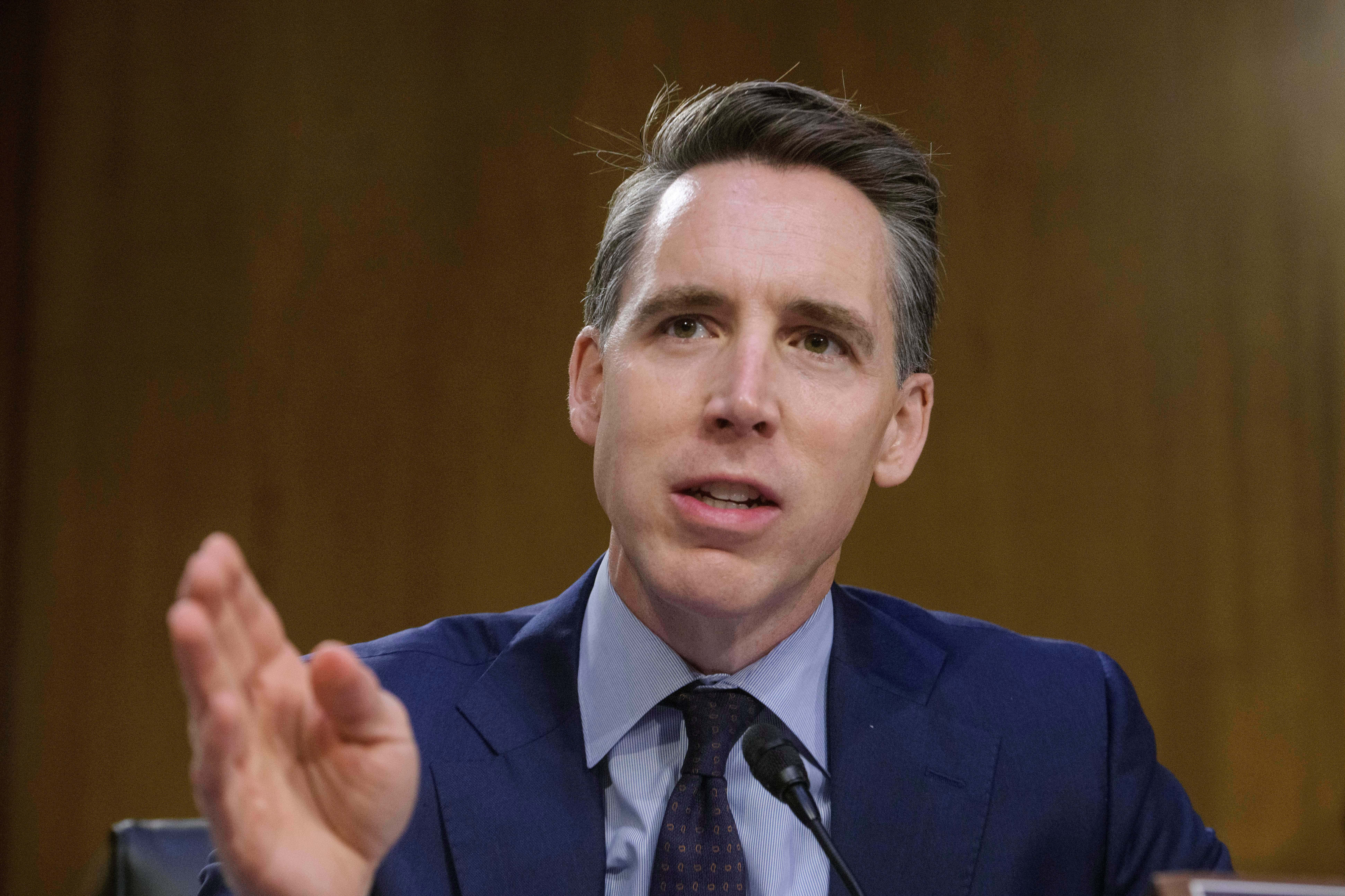 Sen. Josh Hawley warns that Trump’s ‘One Big, Beautiful Bill’ has too many cuts to Medicaid