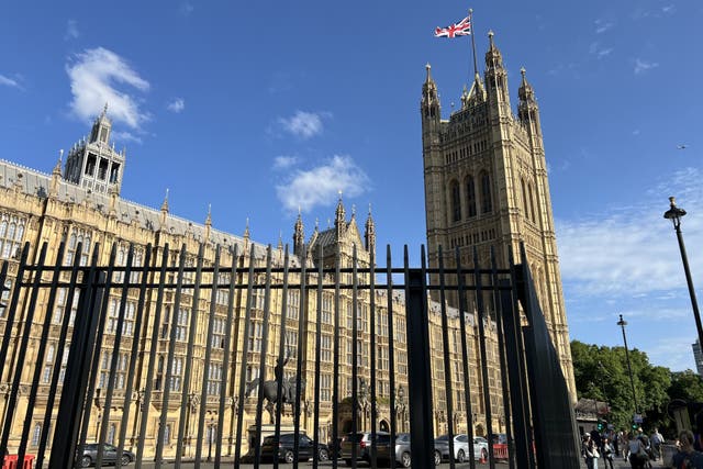 Concerns have been raised over the barrier at Westminster (PA)
