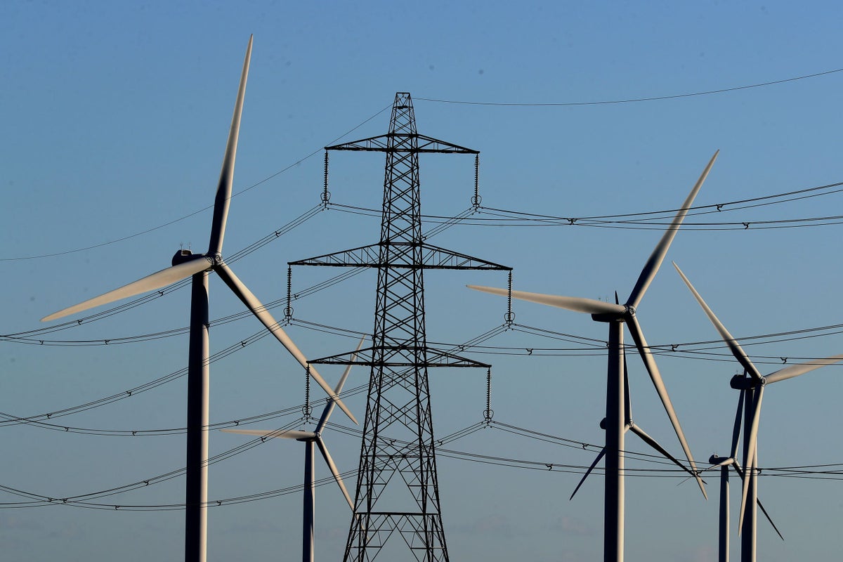 British billpayers saved £300m through energy flexibility in 2024, figures show