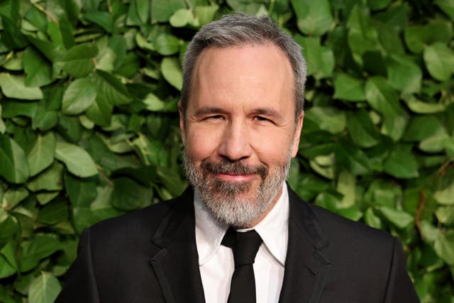 <p>The French-Canadian director has led some of the biggest box office hits</p>