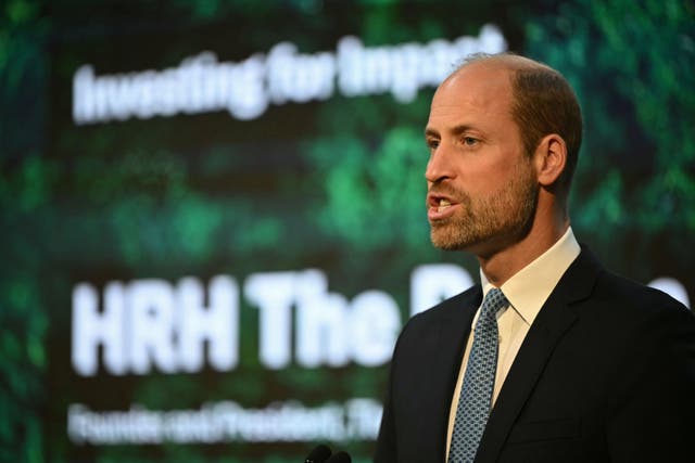The Prince of Wales speaks at the Investing for Impact event, part of London Climate Action Week (Justin Tallis/PA)