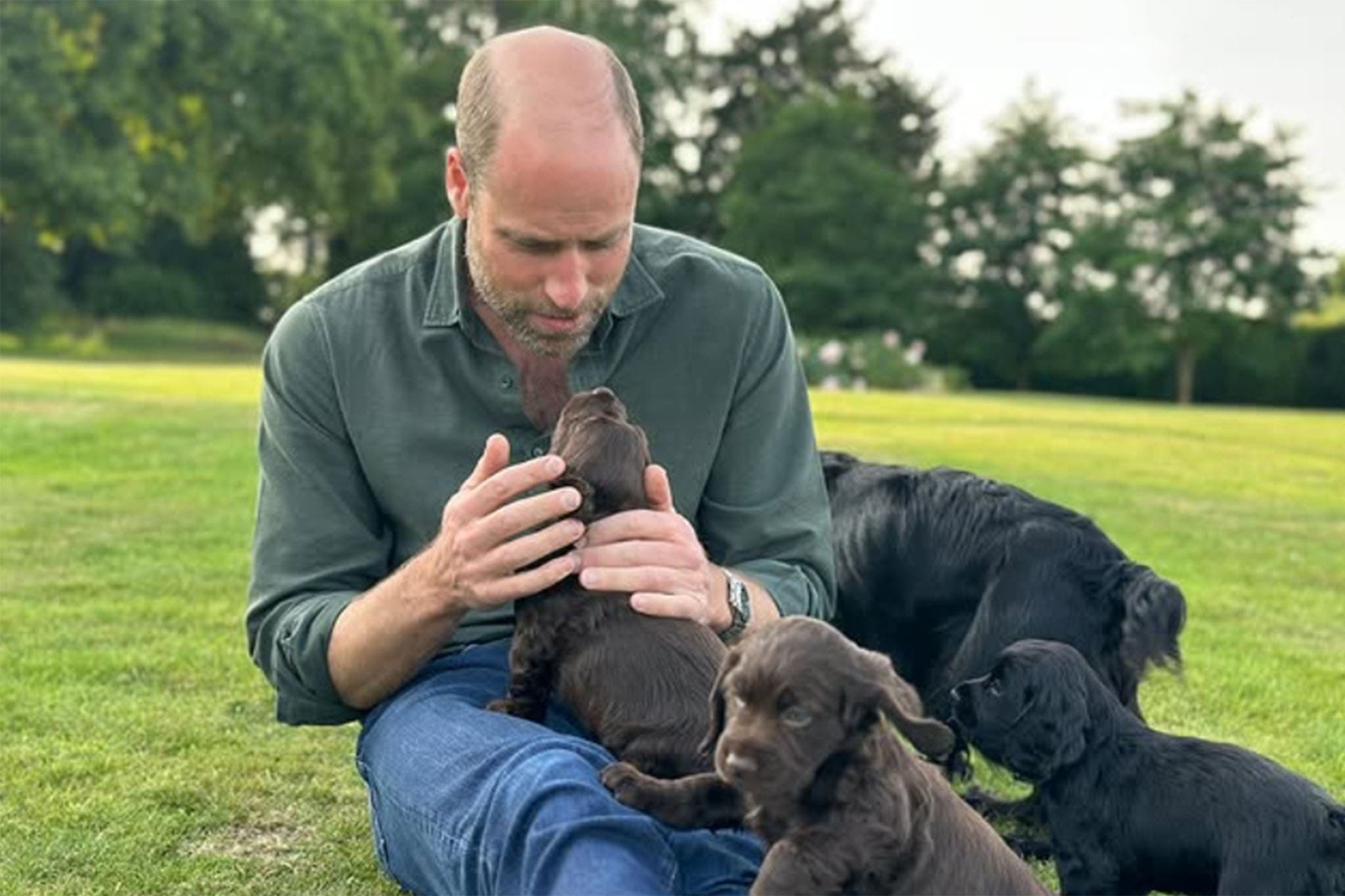 Prince William and Kate Introduce Otto, Their New Cocker Spaniel, on His First Birthday — image 5