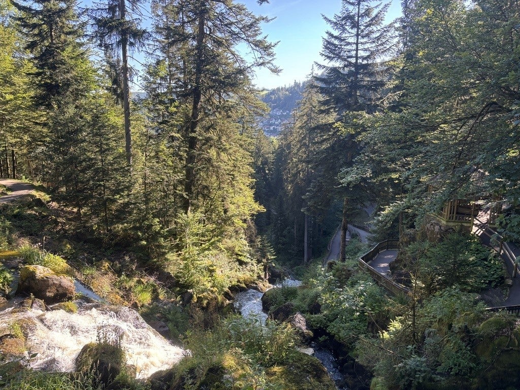 Titisee je dobra baza u srcu južne crne šume