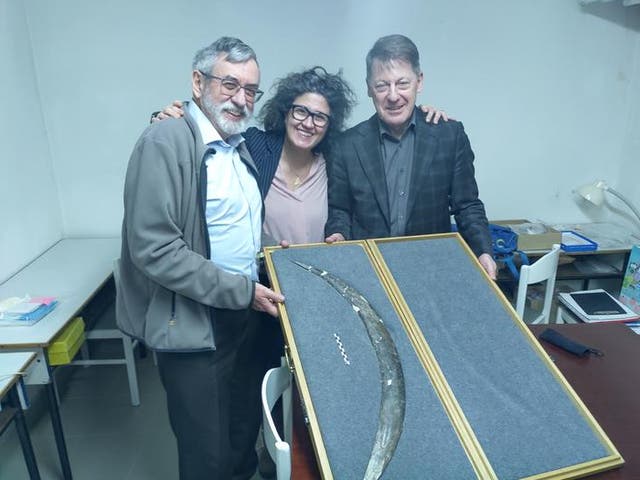 <p>Paweł Valde-Nowak, left, Sahra Talamo and Adam Nadachowski pose with mammoth tusk boomerang</p>