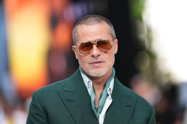 <p>‘When I first met Geena Davis and Susan Sarandon, I was,’ Pitt said about feeling starstruck </p>