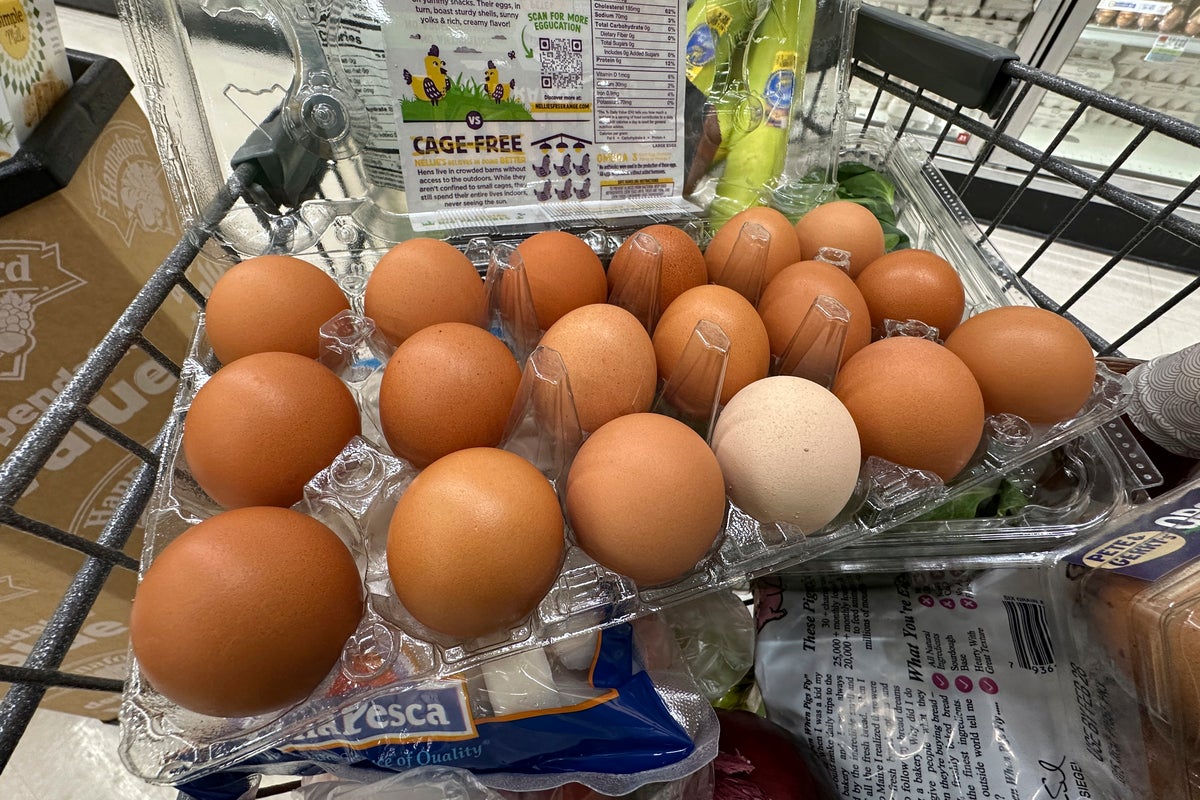 Trump administration sues California over egg prices and blames animal welfare laws