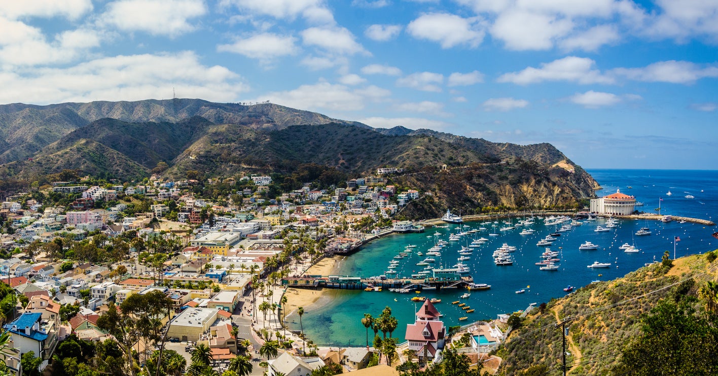Catalina Island is a world-class diving destination