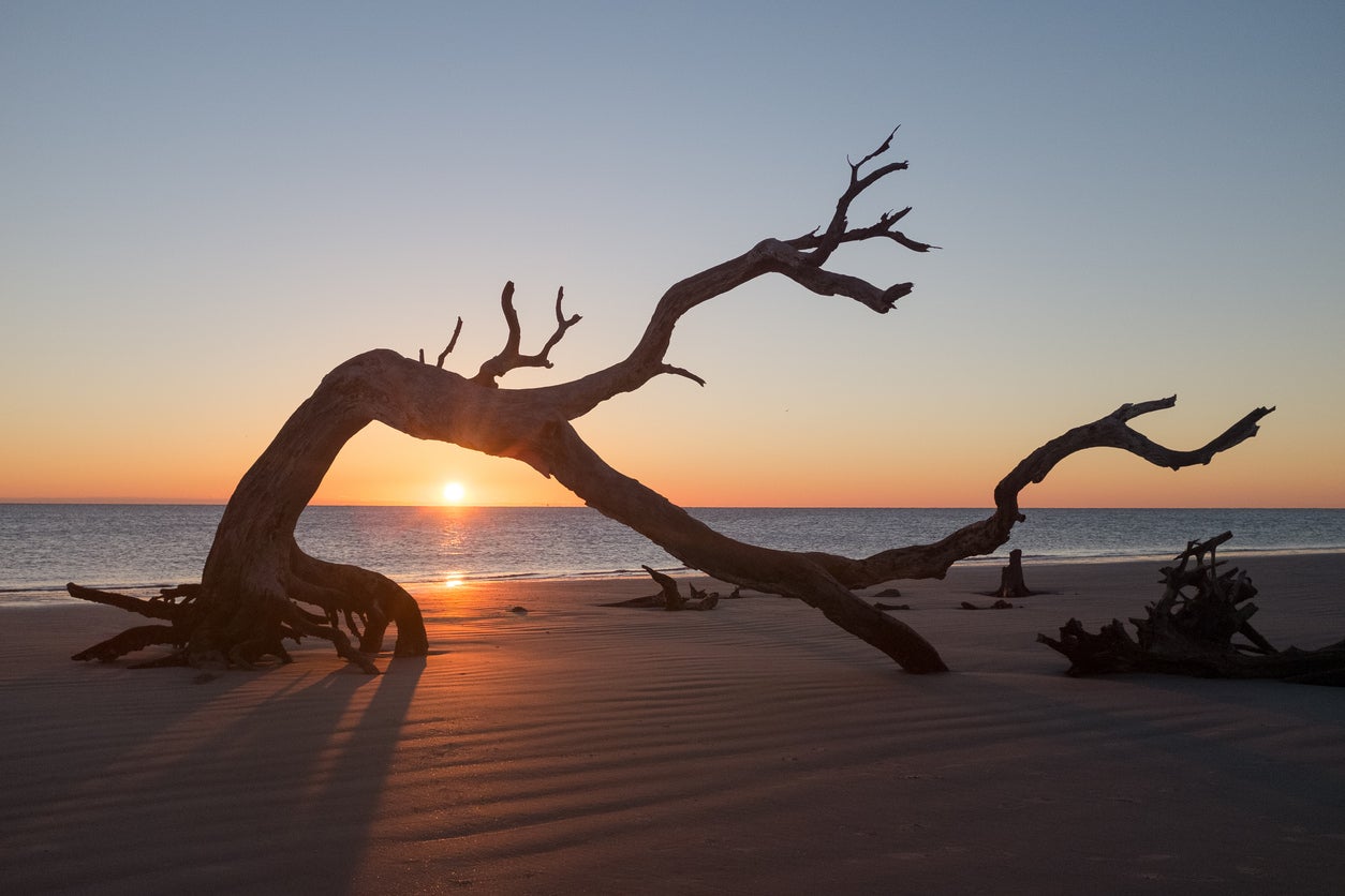 Jekyll Island's dreamy Driftwood Beach