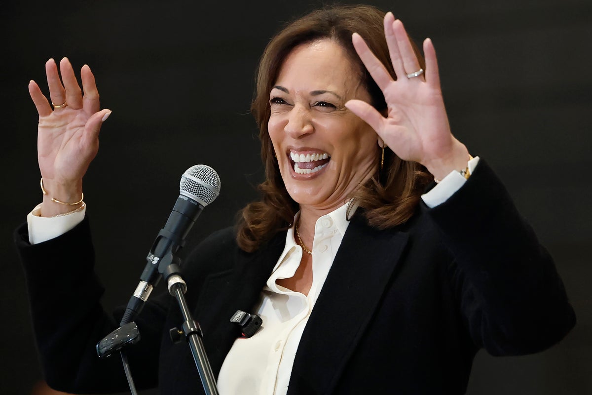 Kamala Harris is trying to gain momentum for a California governor run — but ‘no one is incredibly pumped,’ report says