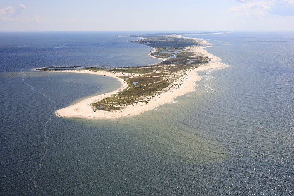 There are no developments on Horn Island and no roads