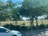Girl, 7, dies and four other children injured as tree falls in park