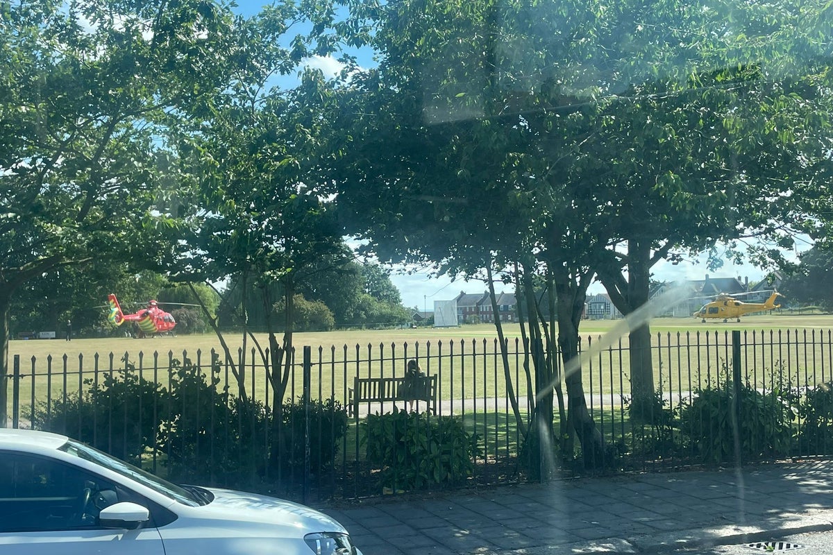 Five children injured after tree falls in public park