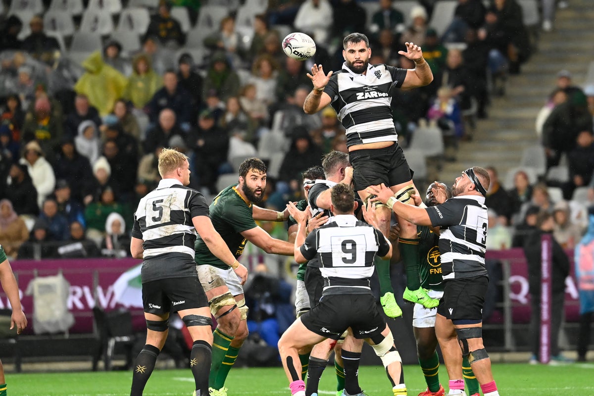 South Africa v Barbarians live: Latest score and updates as Springboks cruising to win